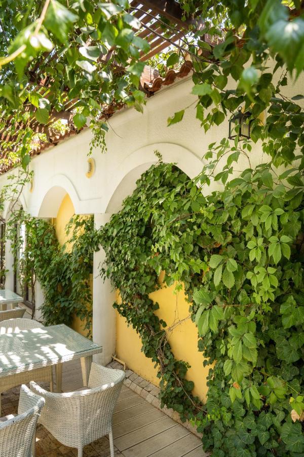 Villa Pontica ナボダリ エクステリア 写真