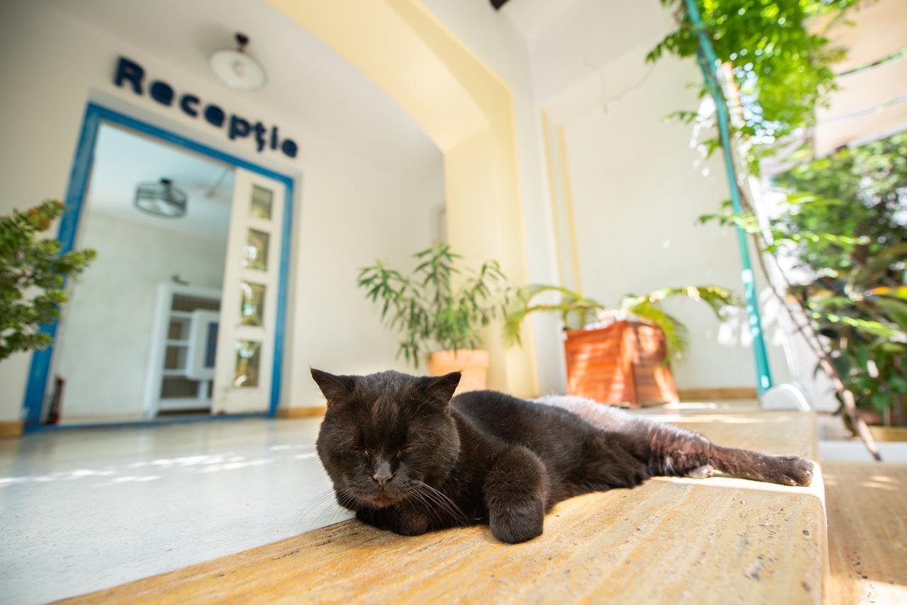 Villa Pontica ナボダリ エクステリア 写真